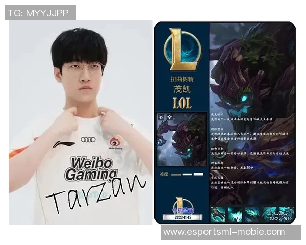 探寻LNG战队在英雄联盟赛季中的表现与挑战解析